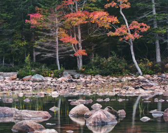 Landscape photographs from Arcadia National Park and Bar Harbor.