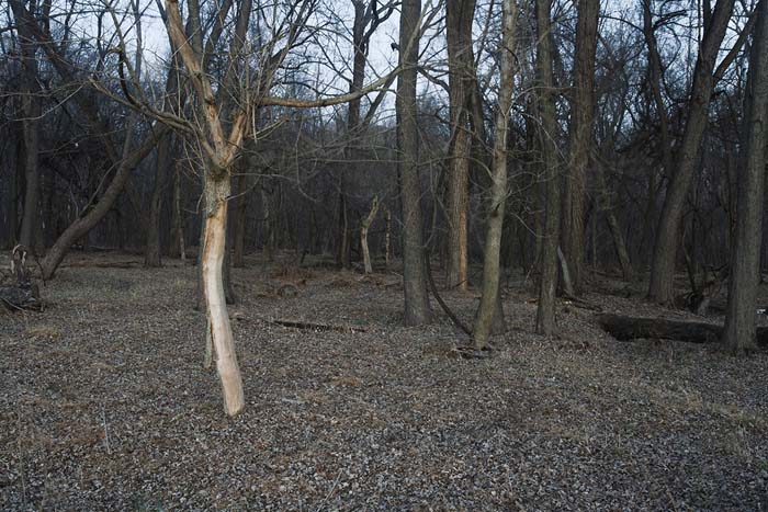 "Chorus Line," Creve Coeur Park 2/29/2012