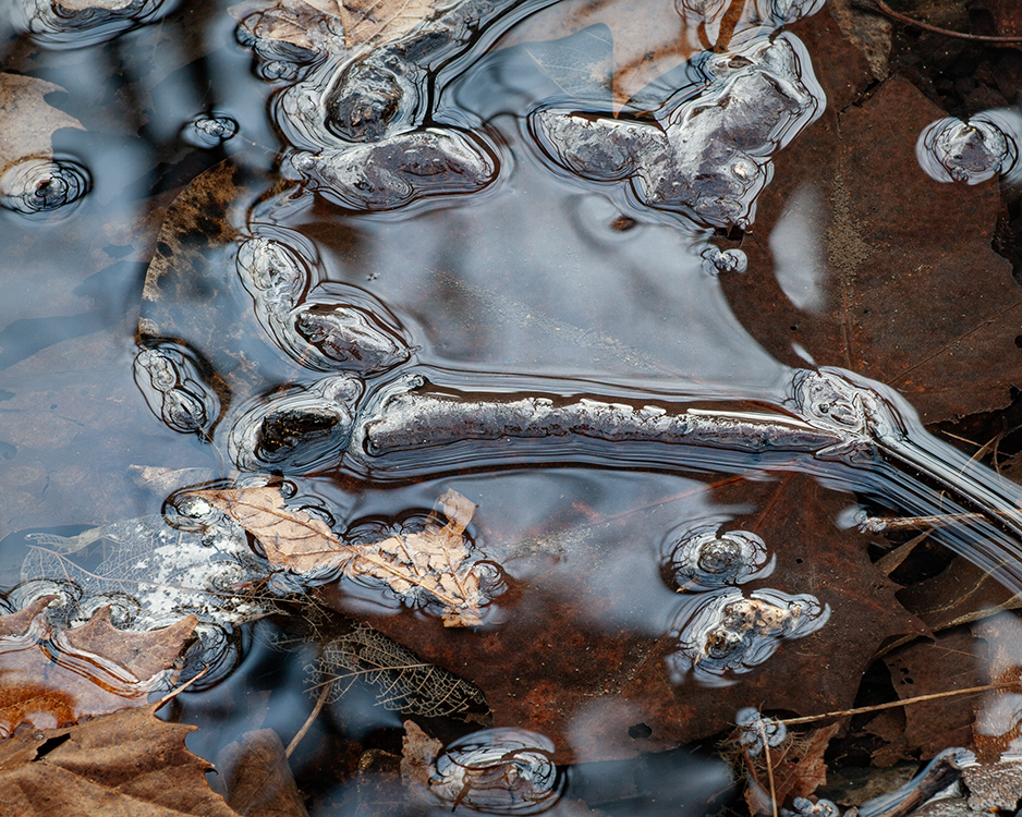 Ice Abstraction (Frozen Creek Muck), Babler State Park, 2/2017