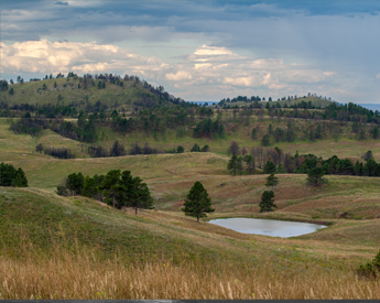 Landscape photos from Custer State Park.