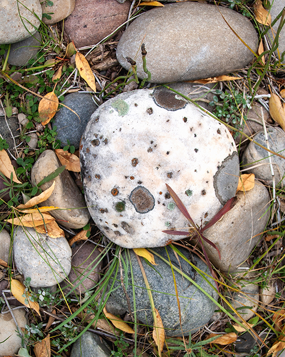 Stones, Grand Teton National Park 10/2013