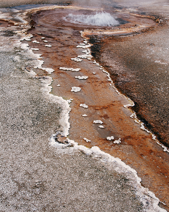 Cinnamon Spouter Geyser, Yellowstone National Park 9/2019